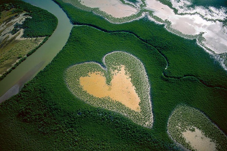 3 Mangroves, New Caledonia
