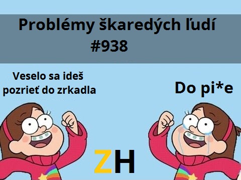 310.zrkadielko