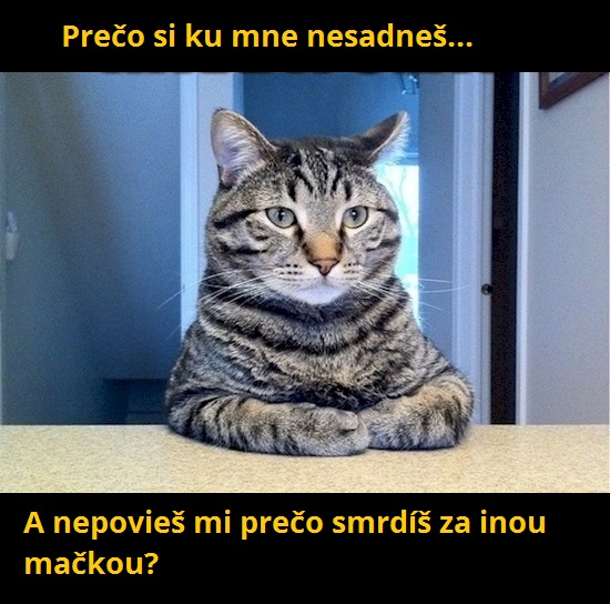 4 sadni si