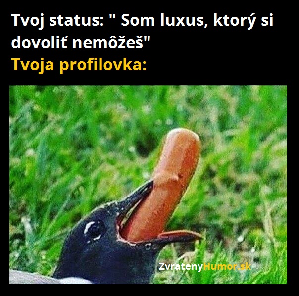 vtacik