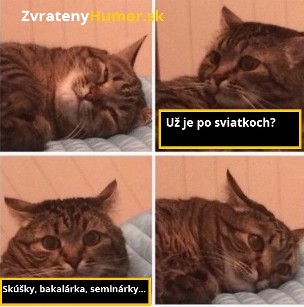 koniec semestra