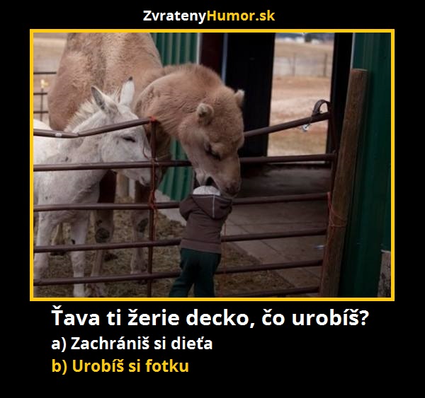 tava