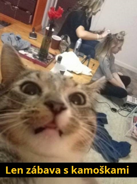6 snap