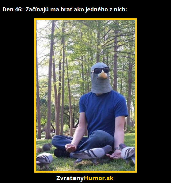 holub