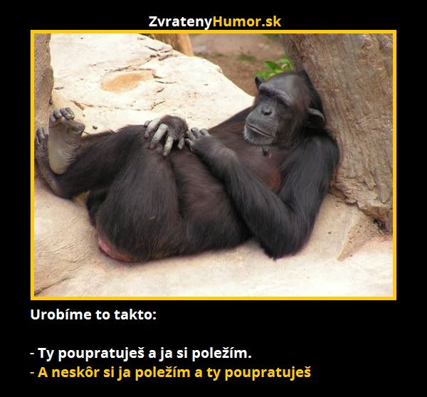 opica