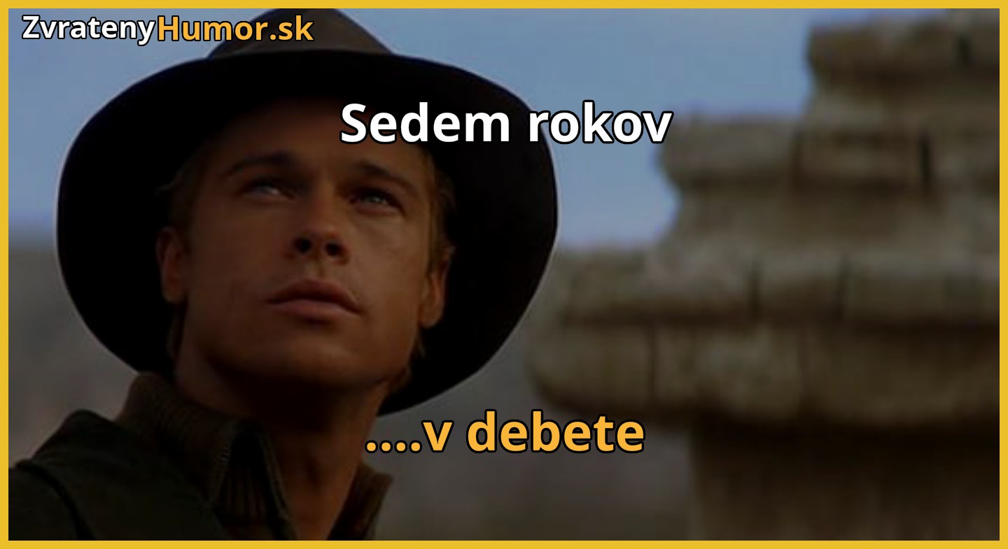 SEDEM rokov v debete