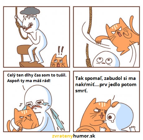 mačka