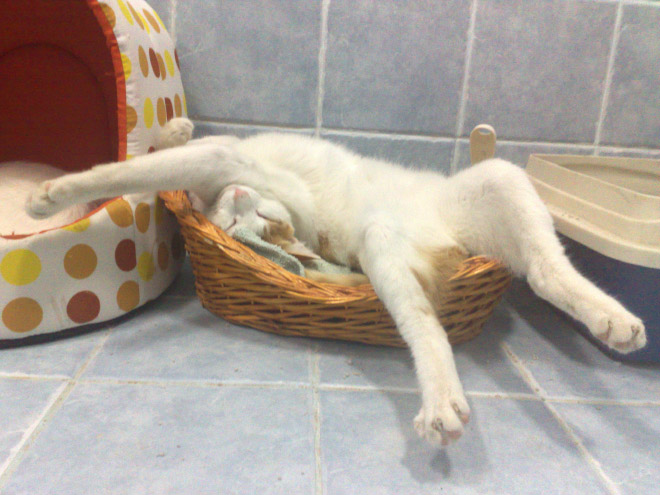 sleep-fu 1