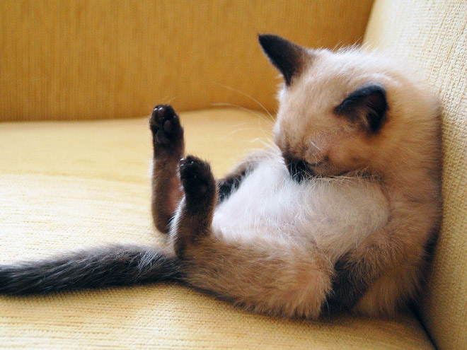 sleep-fu 6