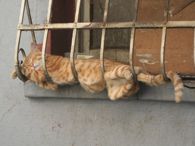 sleep-fu 8