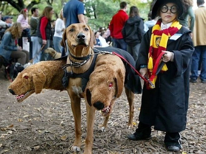 cosplay11