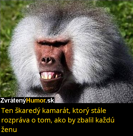 kamoss