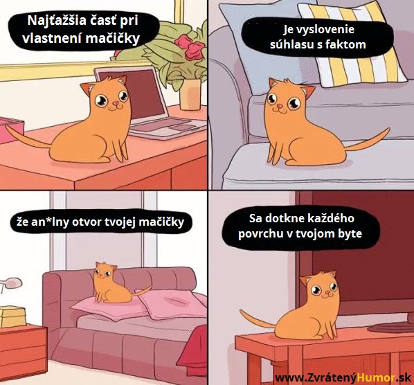 mačičenka