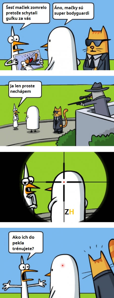 mačky