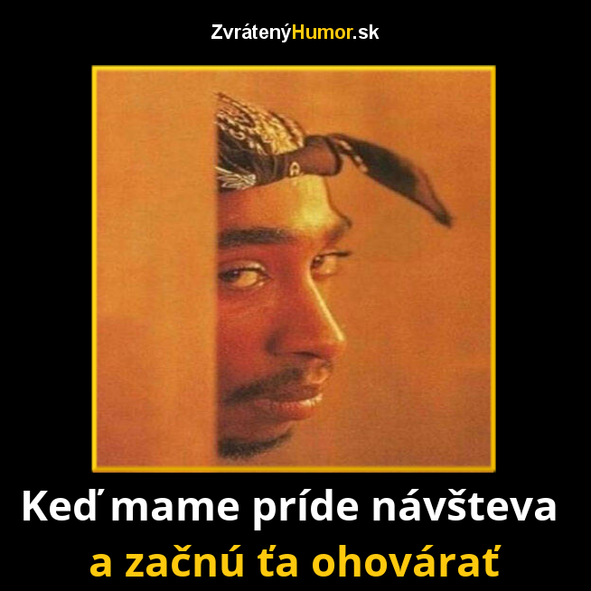 navsteva