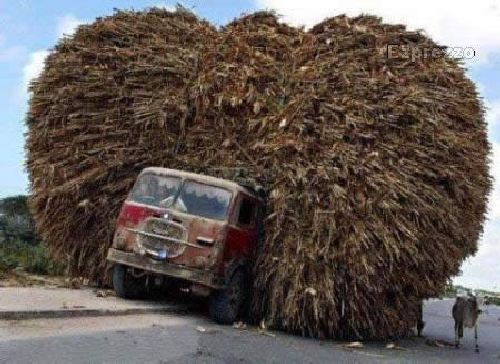 overloaded_vehicles_01