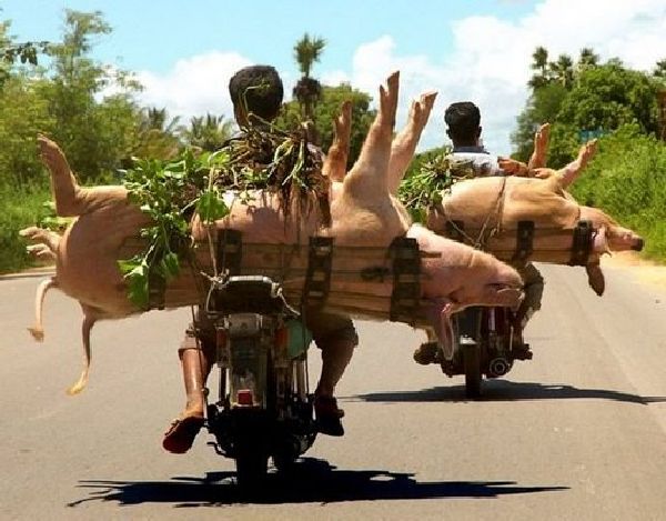 overloaded_vehicles_07