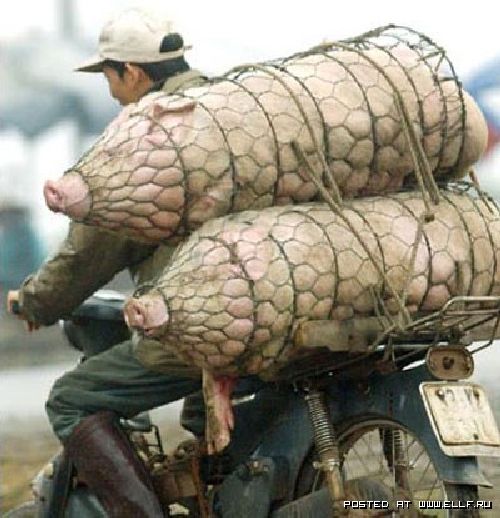 overloaded_vehicles_13