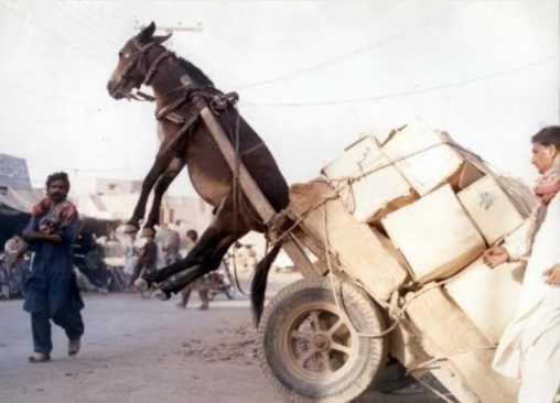 overloaded_vehicles_18