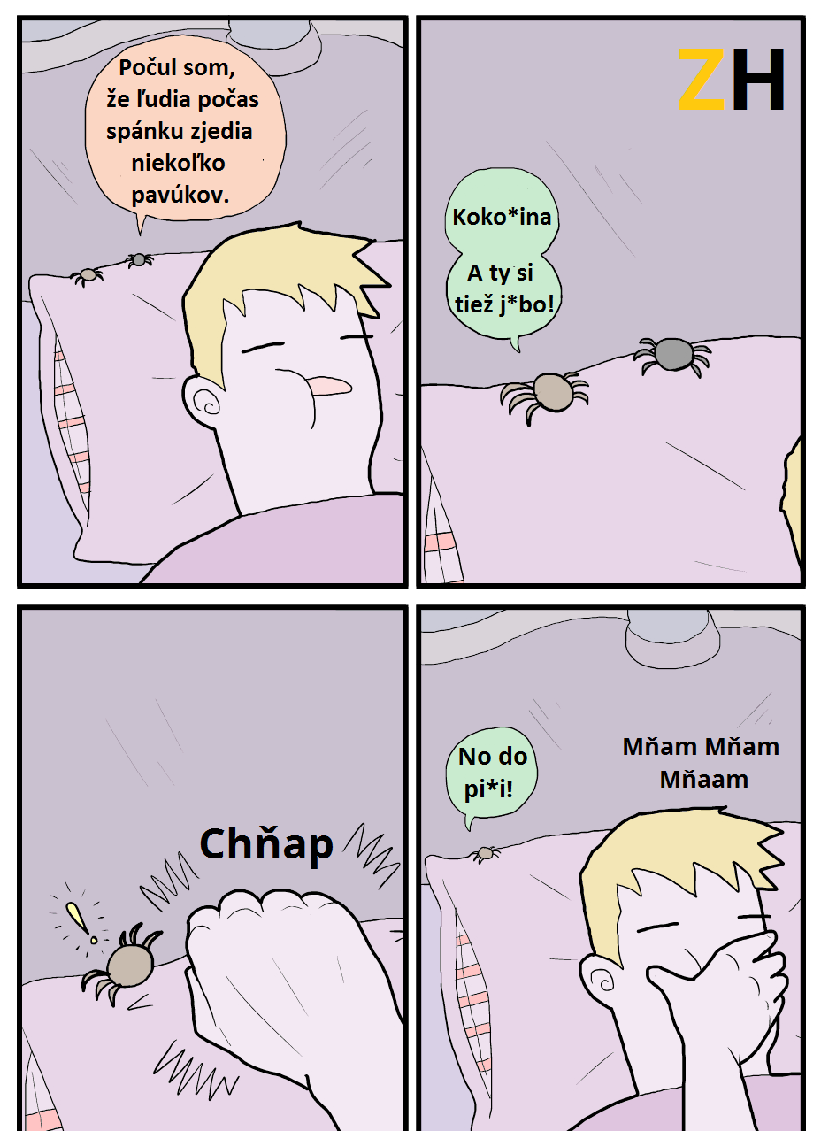 pavuciky