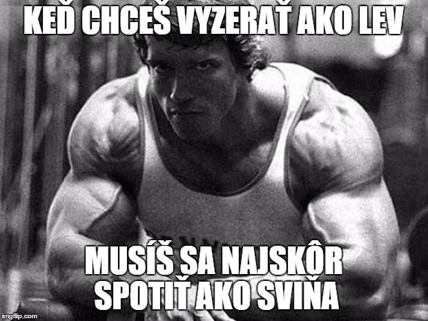 priznania z fitka 19