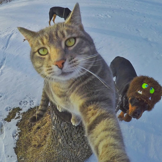 macka selfie 1