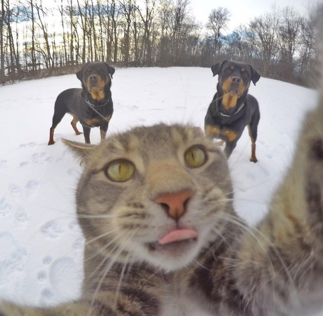 macka selfie 2