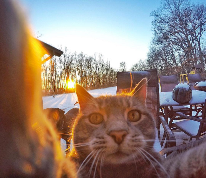 macka selfie 3
