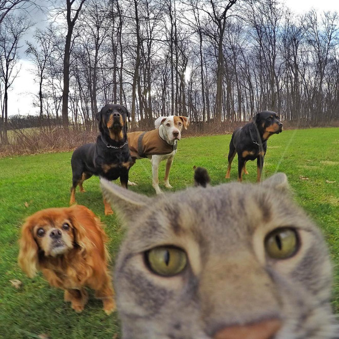 macka selfie 4