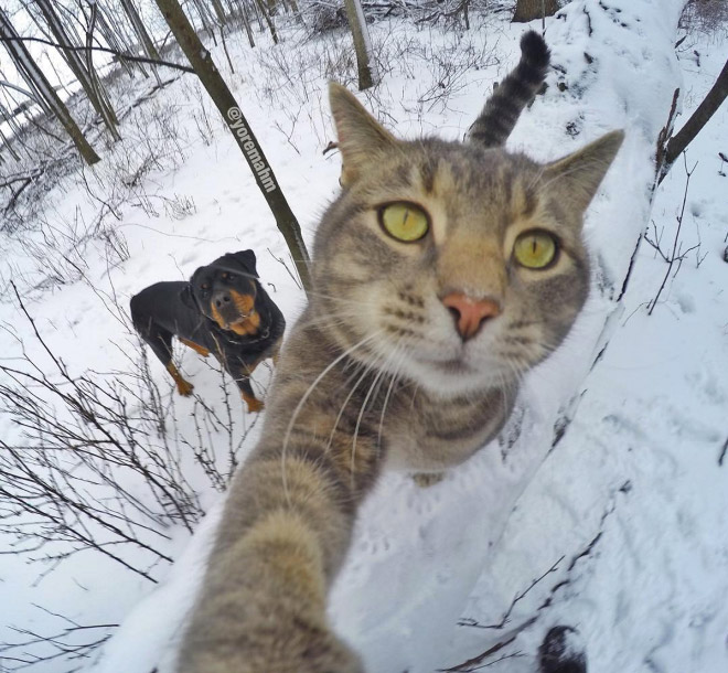 macka selfie 5