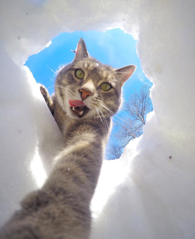 macka selfie 6