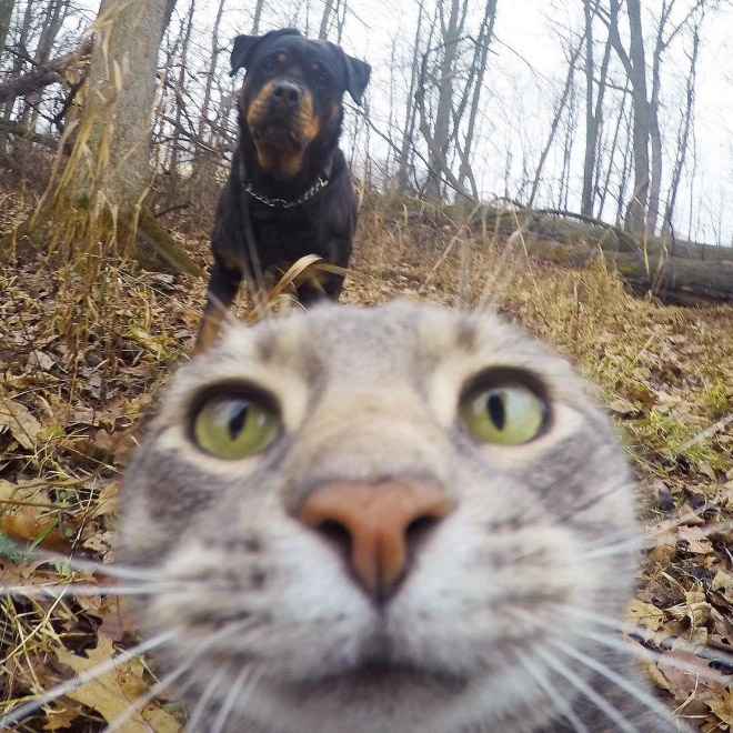 macka selfie 7