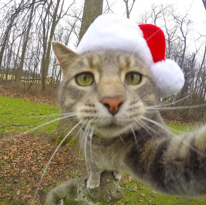 macka selfie 8