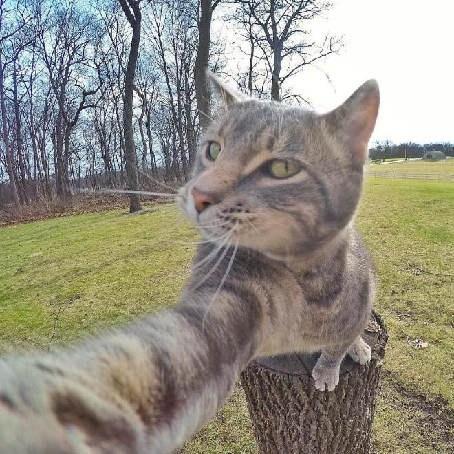 macka selfie 10