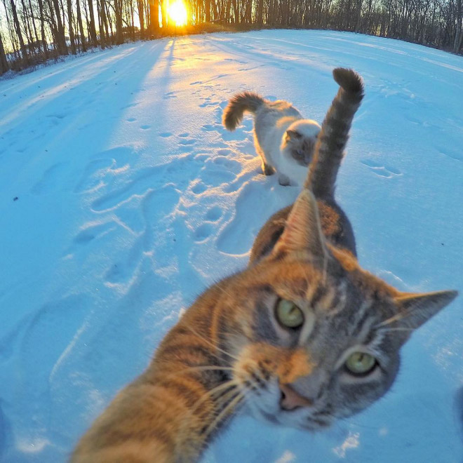 macka selfie 11