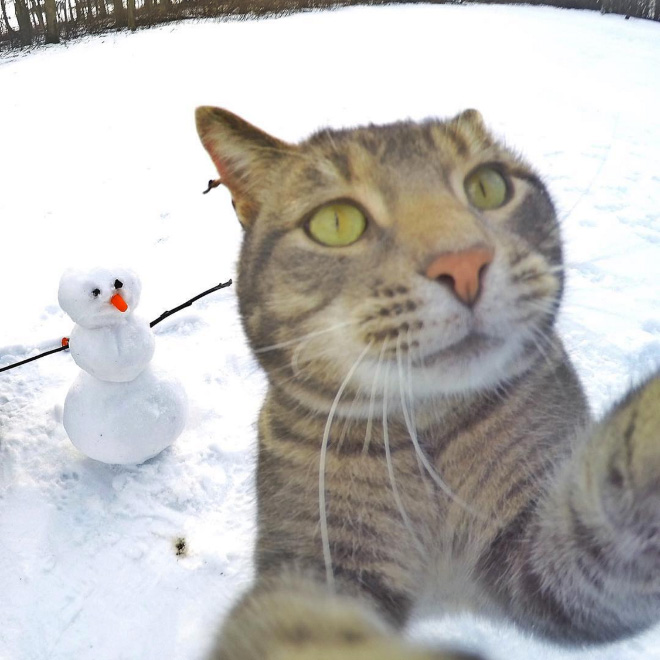 macka selfie 12