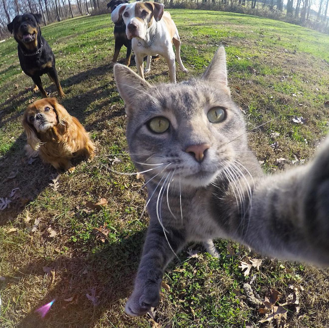 macka selfie 14