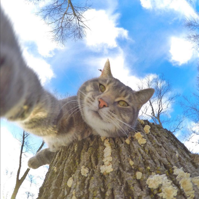 macka selfie 15
