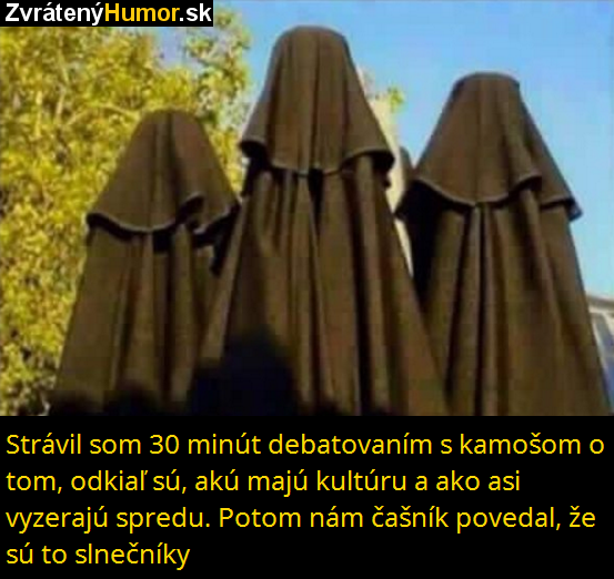 slnecniky