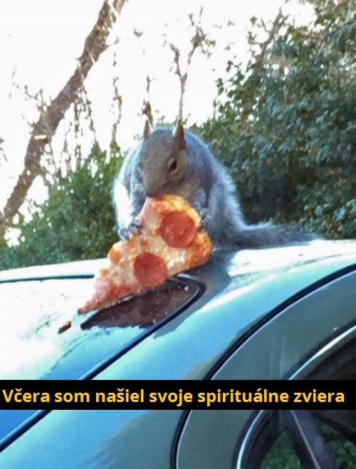 spirit