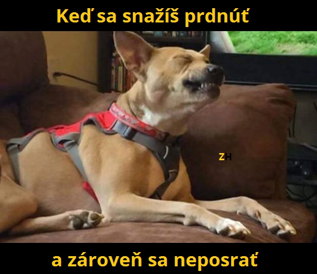 nebezpečne