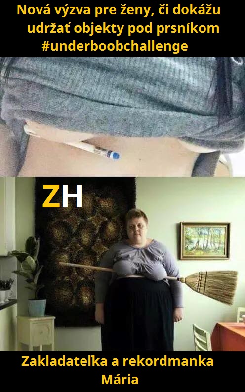 vyzva