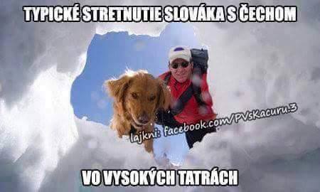 zabava 29