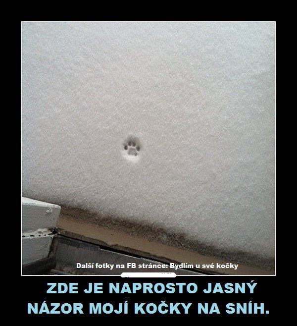 zabava 4