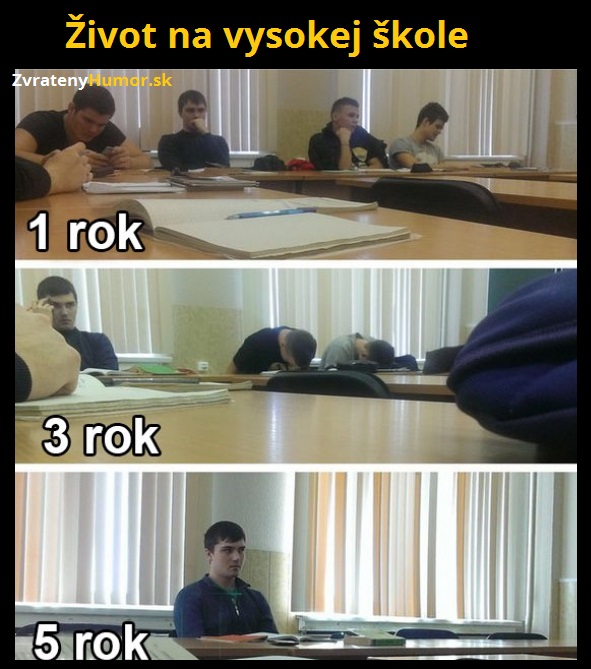 vyskola skola