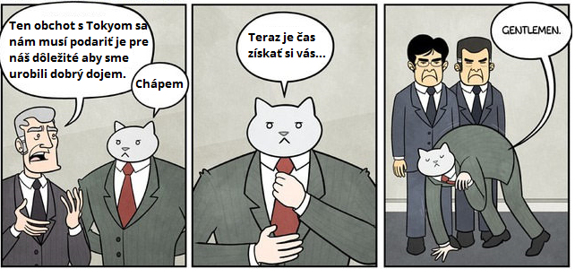 10 mačka