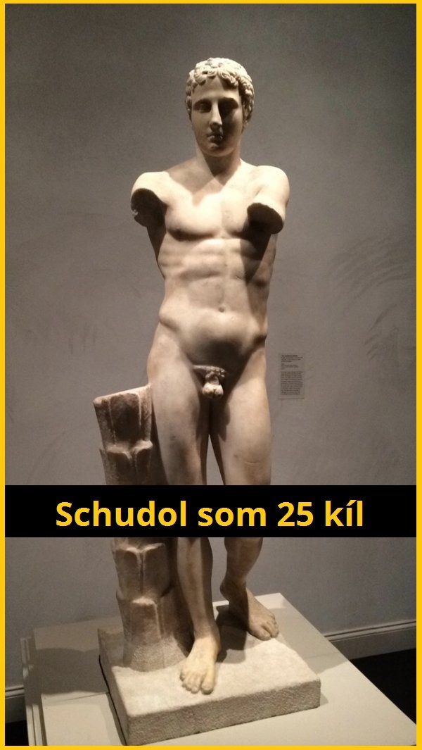 3 schudol