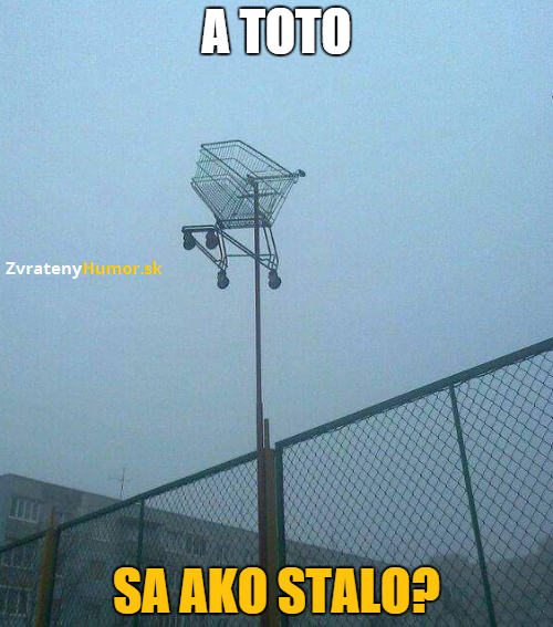 vozik