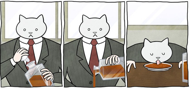 5 mačka