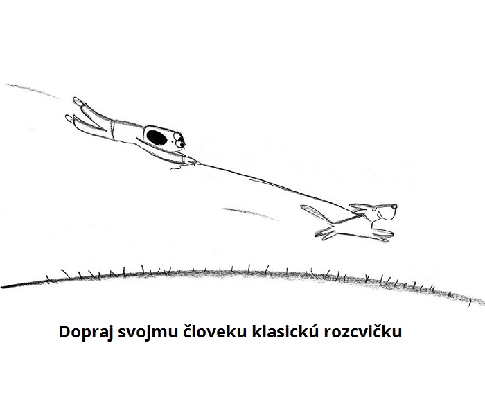 7 pes